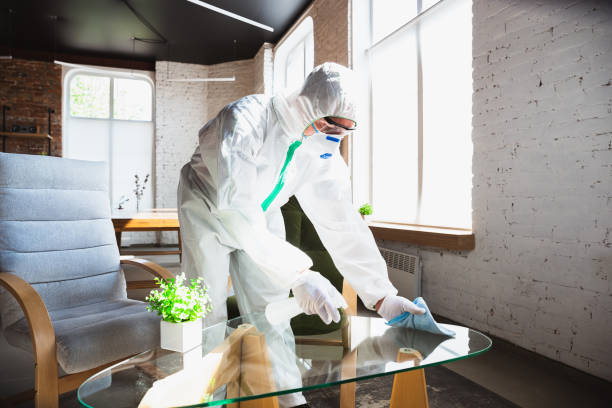 Sioux Center, IA Mold Removal Company